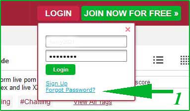 BongaCams Account Recovery