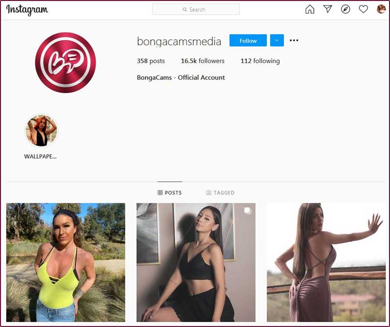 BongaCams Social Media and News