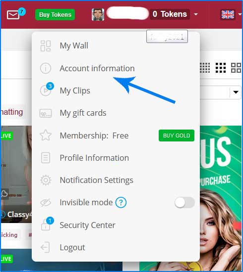 BongaCams Account information