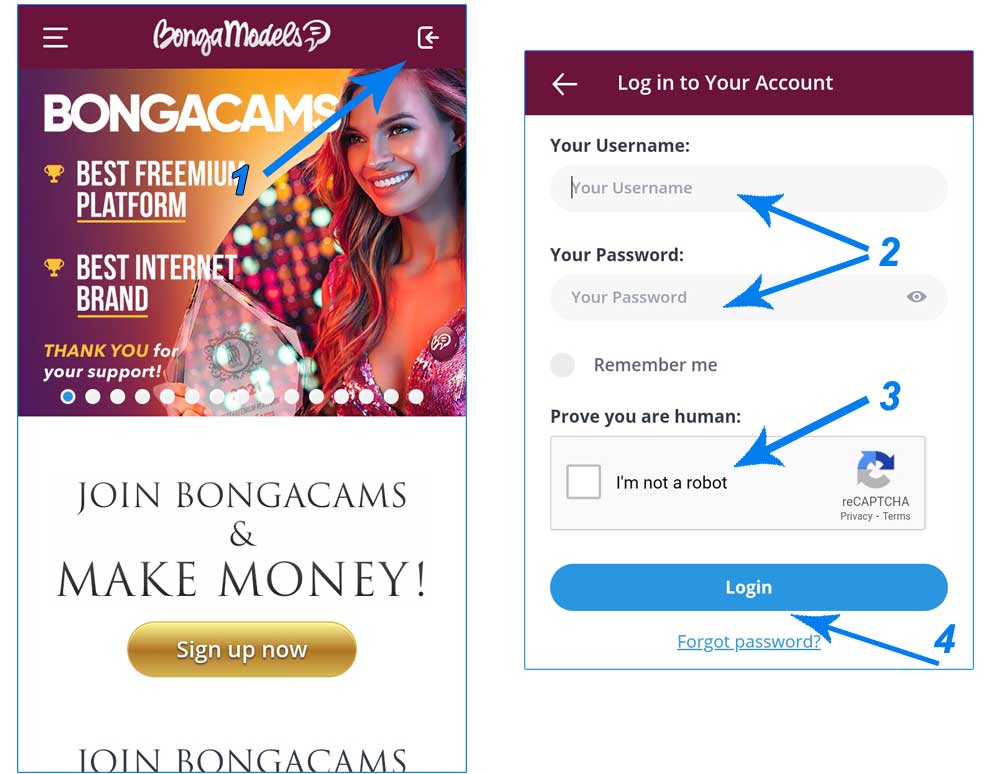 BongaModels Mobile Login Form
